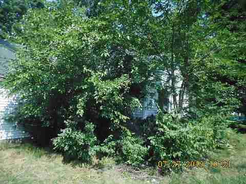 16701 Verne (10)_m.jpg